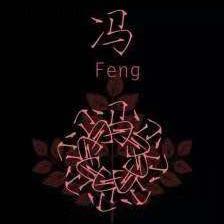 冯晓霁